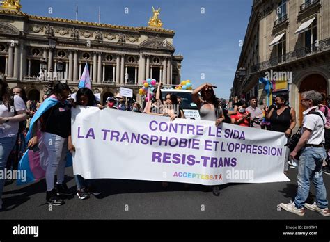 transexuel se suce|Deux transsexuelles chaudes se suçant l'une l'autre .